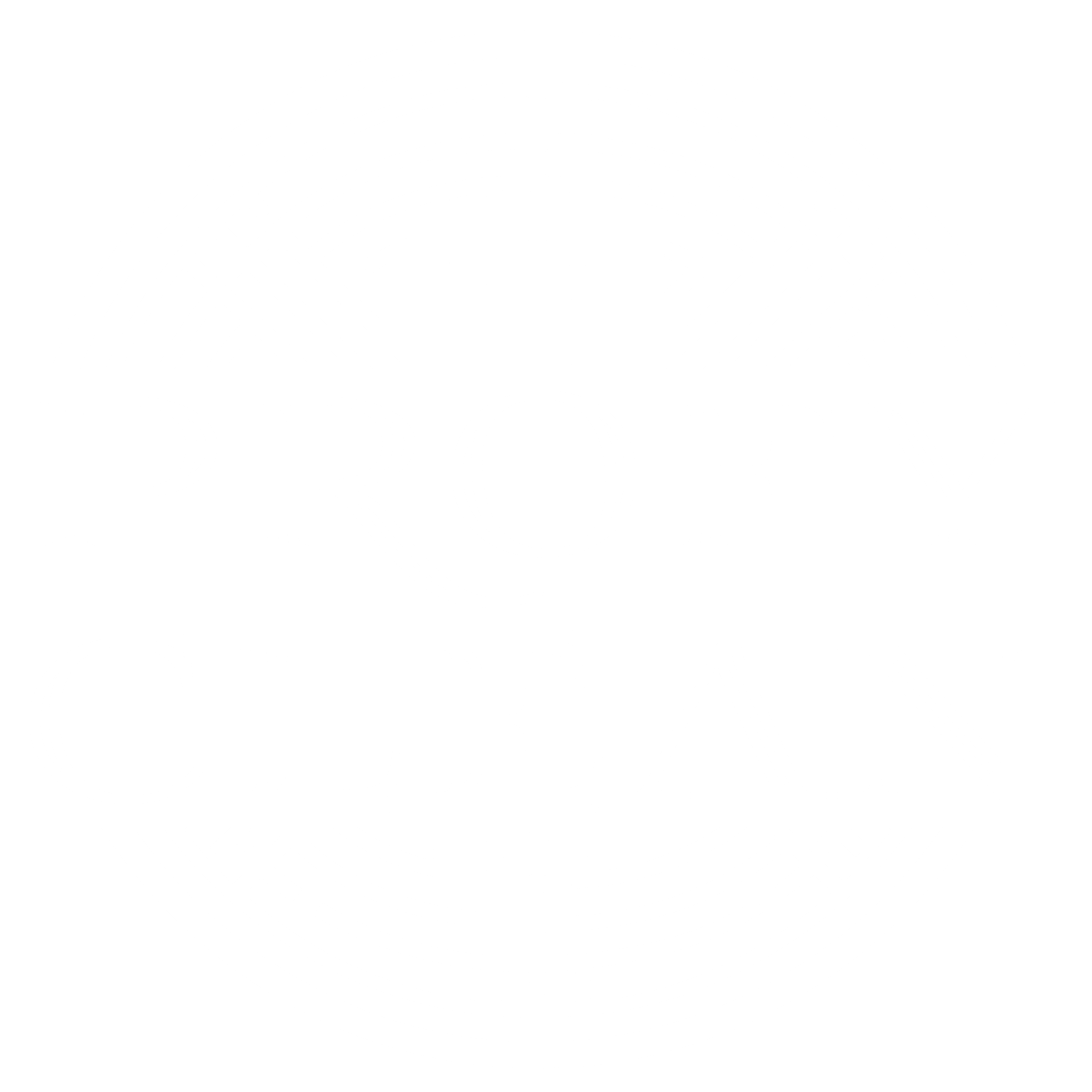 Profy Clean Logo