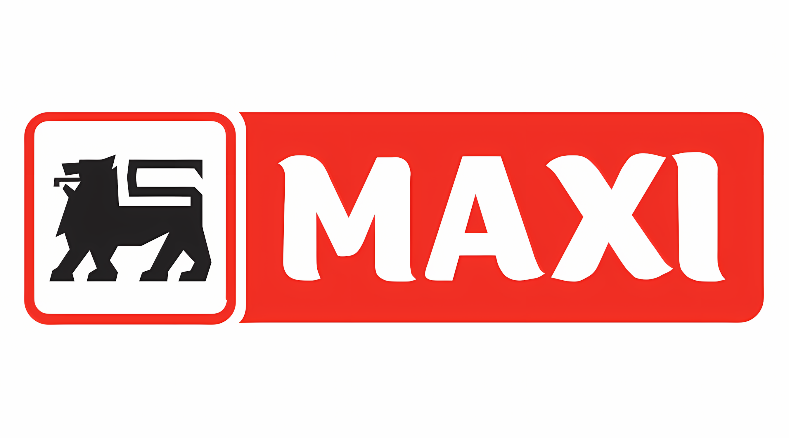 maxi logo